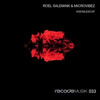 Visionless - Roel Salemink & Microvibez