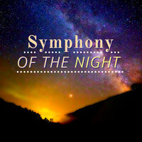 Pure Imagination - Night Nick