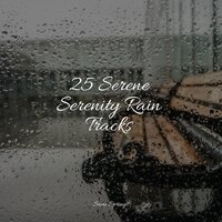 Lightly Sprinkling - Naturaleza Relajacion & 125 Nature Sounds & Lightning