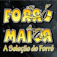 Forrozeiro alucinado - Forró Maior