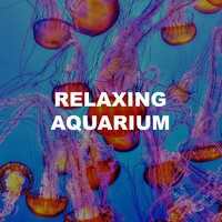 Sound Underwater - Relaxing Aquarium & Tinnitus Aid & Ocean Sounds ASMR