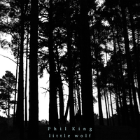 Little Wolf - Phil King