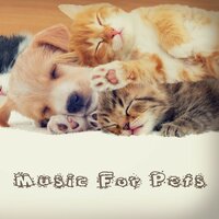 Simple Gifts - Music For Pets