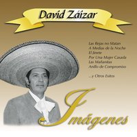 A medias de la noche - David Zaizar