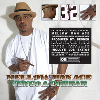 Breakin' the Glass - Mellow Man Ace & Saint Dog
