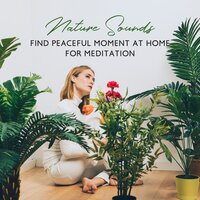 Total Peace of Mind – New Age Music - Zen Natural Sounds