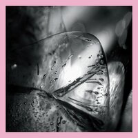 Lux - Loscil
