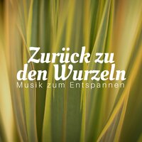 Waldbach und Musik zur Entspannung - Kojo Iyanya & Yoga Trainer & Yoga Trainer & Kojo Iyanya