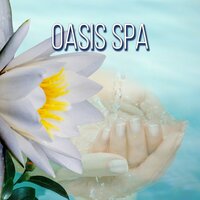 Health and Wellness - Wellness Spa Oasis