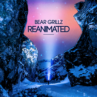 Need You - Bear Grillz