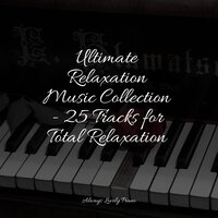 Comforting Moods - Piano: Classical Relaxation & Bedtime Baby & Study Piano