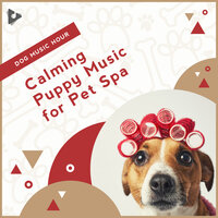 Relaxing Instrumental with Ocean Waves - Dog Music Hour & Calming Music for Dogs & Calming Puppy Music