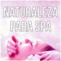 Horizontes Perdidos (Sonido de Lluvia) - Academia de Música para SPA