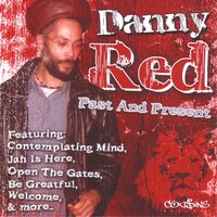 Face of a Lion - Danny Red
