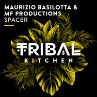 Spacer - Maurizio Basilotta & MF Productions