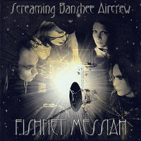 Free Of Me - Screaming Banshee Aircrew