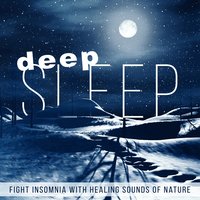 Zen Meditation - Relaxing Zen Music Ensemble
