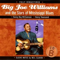 Delta Blues - Big Joe Williams