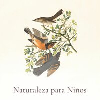 Suave Equilibrio - Música para Dormir Profundamente y Relajarse