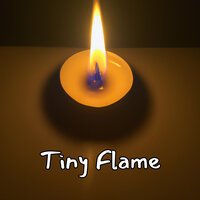 Tiny Flame - Rodolfo Perez Jr