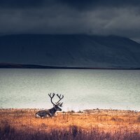 Flowing Chords - The Relaxing Sounds of Swedish Nature & Relaxation Music Guru & Chakra Meditation Universe