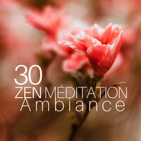 Immersion totale - Free Zen Spirit