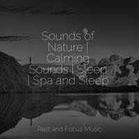 Ambient Peace - Monarch Baby Lullaby Institute & White Noise Sound Garden & Sounds of Nature White Noise Sound Effects