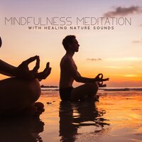 Birds in the Forest - Blissful Meditation Music Zone