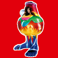 The Dull Flame Of Desire - Björk