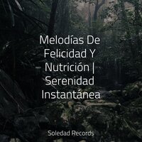 Masaje Auditivo - Sons da Natureza & Sonidos de lluvia para dormir & Musica Relaxante