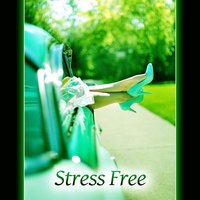 The Life of British Birds - Deep Relaxation Exercises Academy