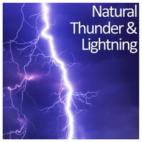 Driving Rain Against Your Window(Loopable, No Fade) - Sounds of Rain & Thunder Storms, Rain Spa, Lightning, Thunder and Rain Storm & Rain Spa & Lightning, Thunder and Rain Storm & Sounds of Rain & Thunder Storms