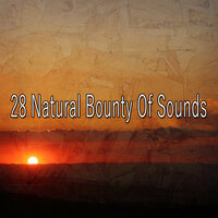 В мире чудес природы - Nature Sounds Nature Music