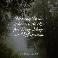 Water, Small, Creek, Close - Deep Sleep Meditation & Forest Soundscapes & Spa & Spa