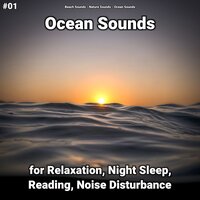 Ocean Sounds Pt. 36 - Beach Sounds & Nature Sounds & Ocean Sounds
