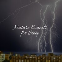 Rain in the Jungle - Massage Therapy Music & Ambient Nature White Noise & Asian Zen Spa Music Meditation