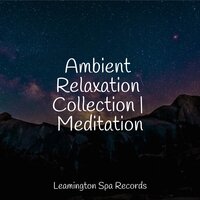 Deep Breathing - Kings of Nature & Binaural Beats Brainwave Entrainment & Relaxing Nature Sounds Collection