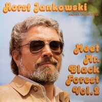 Morning Ride - Horst Jankowski and his Studio Orchestra & Horst Jankowski