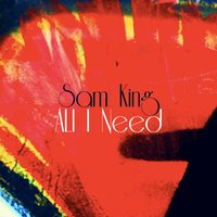 On the Run - Sam King