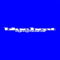 MSX - Zakhar Andriyanov