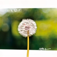 Als Dit Alles Over Is - Bløf
