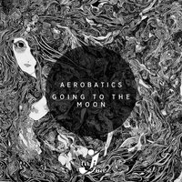 Intuition - Cotry & Aerobatics