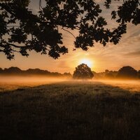 Weightless - Study Zone & Meditação Maestro & Sleep Waves