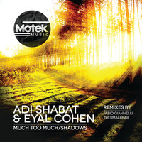 Much Too Much - Eyal Cohen & Adi Shabat