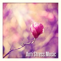 Anti Stress - Anti Stress Academy
