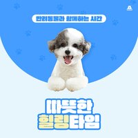 A trip together - BGM Teacher