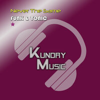 Disco Chicks - Funk