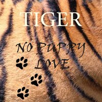 No Puppy Love Remix - Tiger & Reggie Staggers