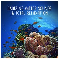Evening at the Beach - Water Sounds Music Zone