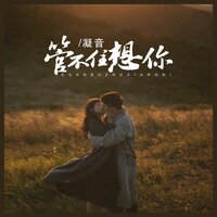 管不住想你 - 凝音 & Banan